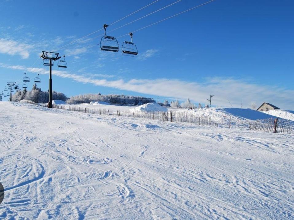 Gite Spa "La Foret Argentee" Proche Gerardmer Laveline-du-Houx Exteriör bild