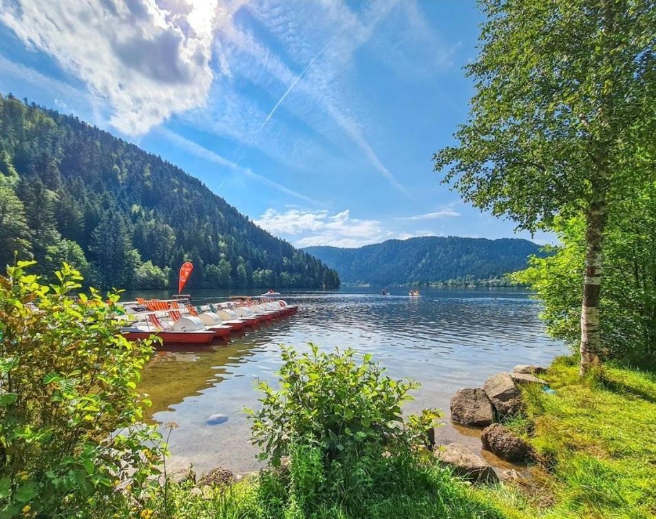 Gite Spa "La Foret Argentee" Proche Gerardmer Laveline-du-Houx Exteriör bild