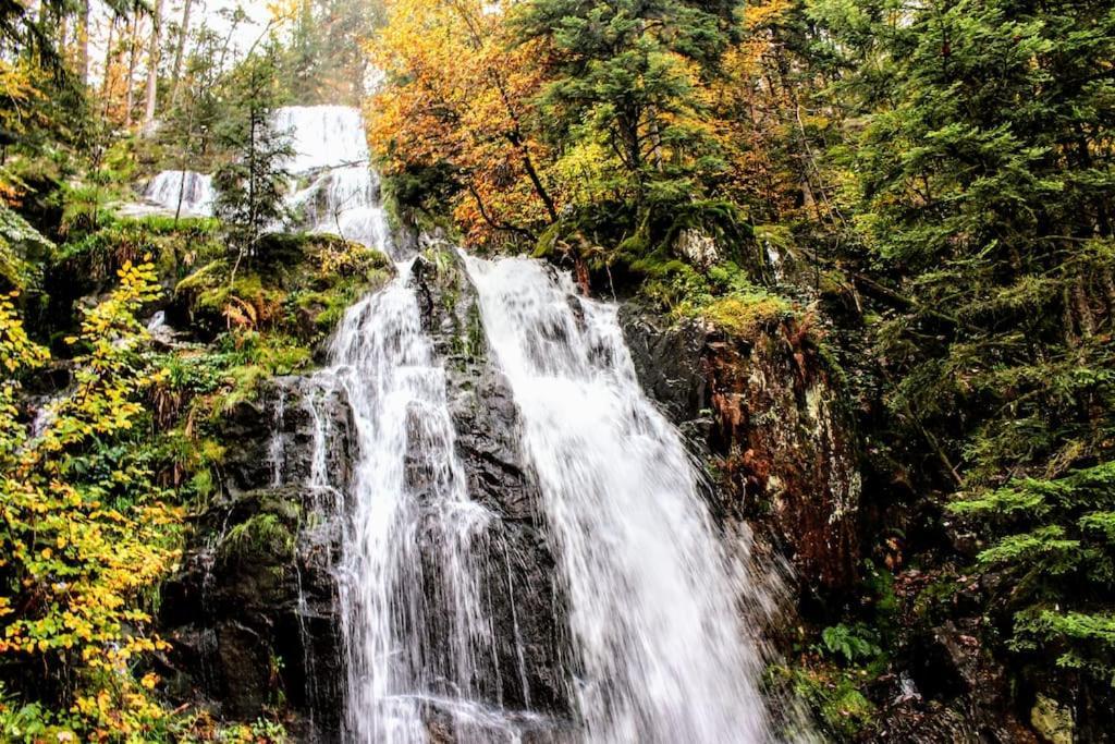 Gite Spa "La Foret Argentee" Proche Gerardmer Laveline-du-Houx Exteriör bild